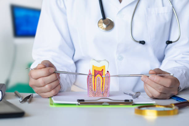 Best Knocked-Out Tooth Emergency  in Breezy Point, MN